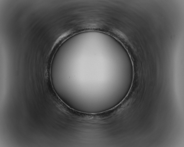 X0000086751218200705041421