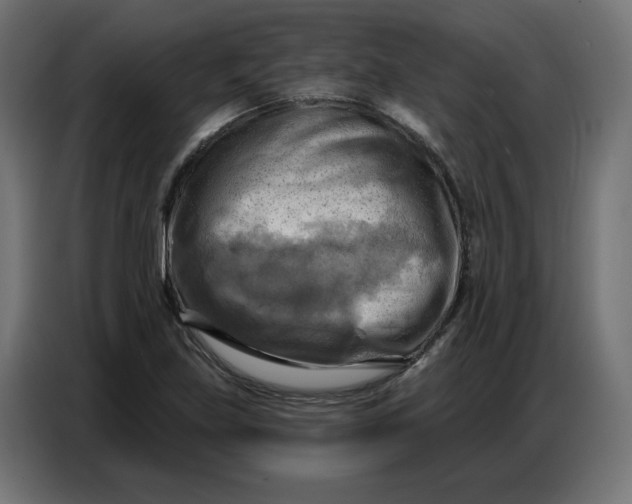 X0000086751219200705041421