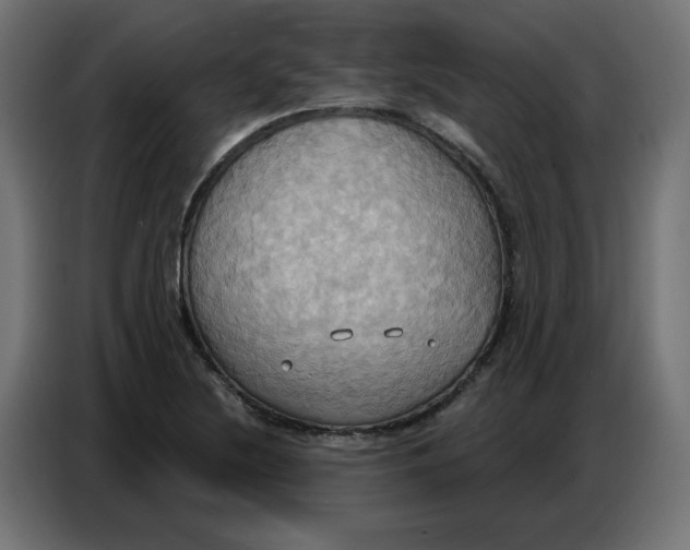 X0000086751220200705041421