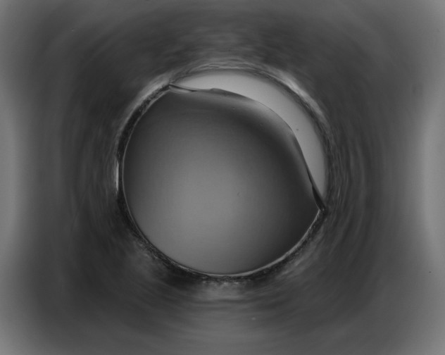 X0000086751221200705041421