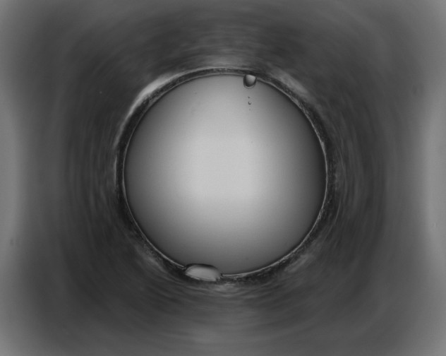 X0000086751222200705041421