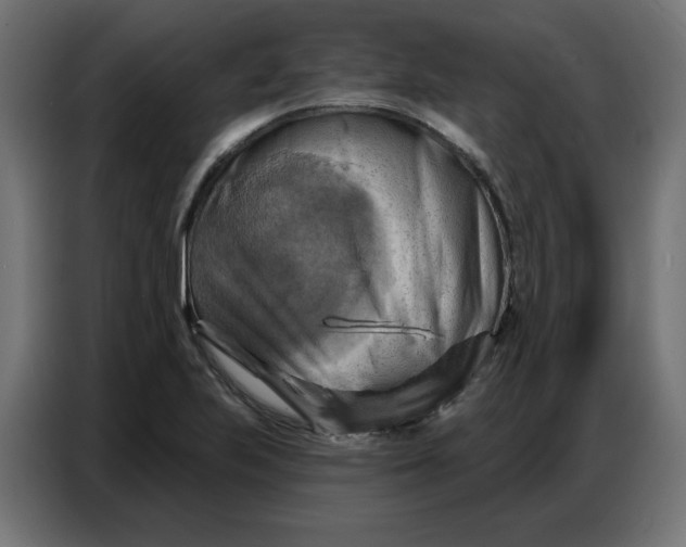 X0000086751223200705041421