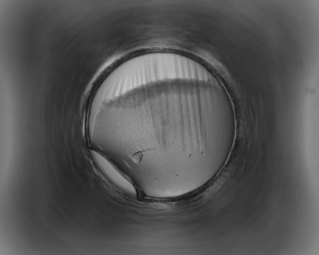 X0000086751224200705041421