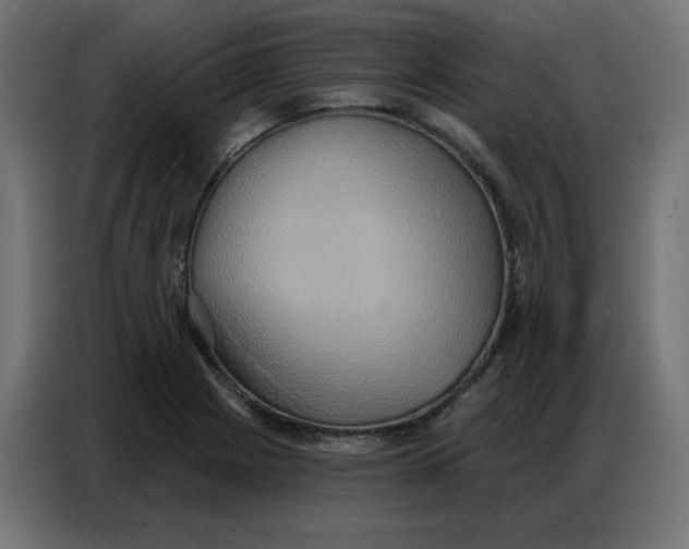 X0000086751225200705041421