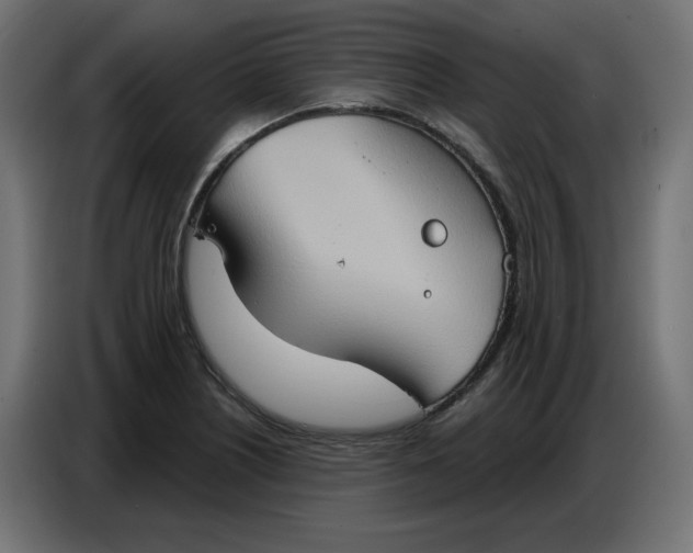 X0000086751226200705041421