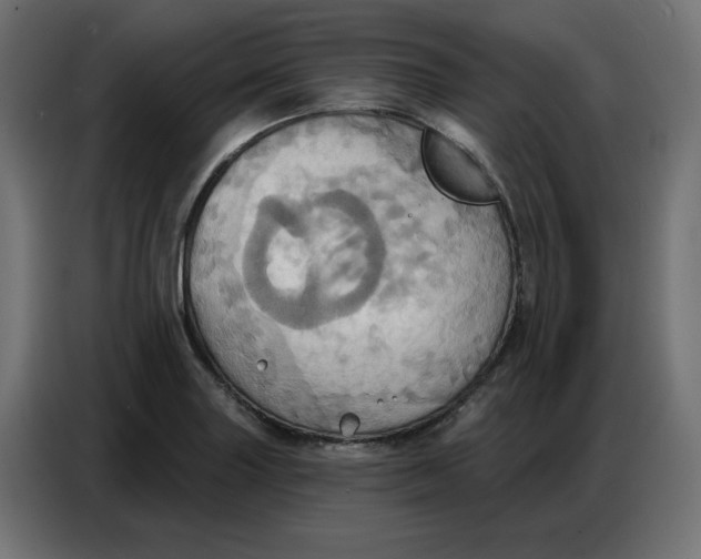 X0000086751227200705041421