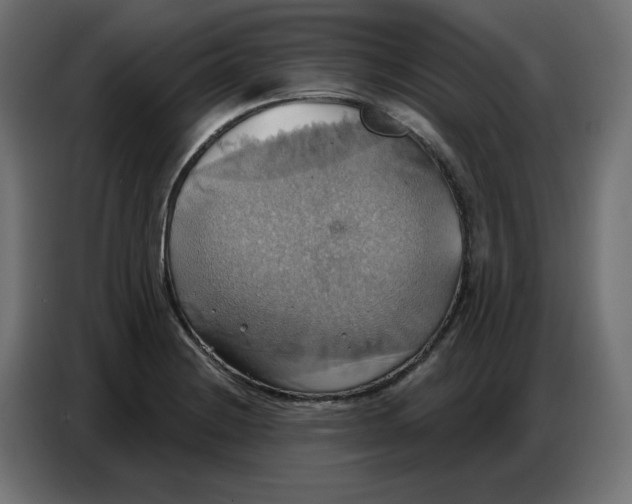 X0000086751228200705041421