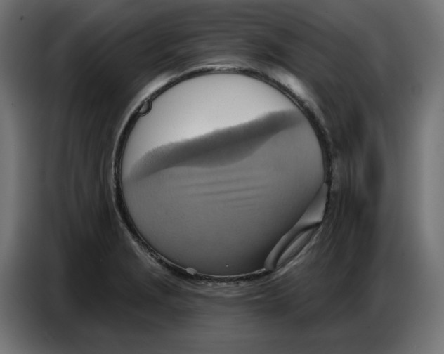 X0000086751229200705041421