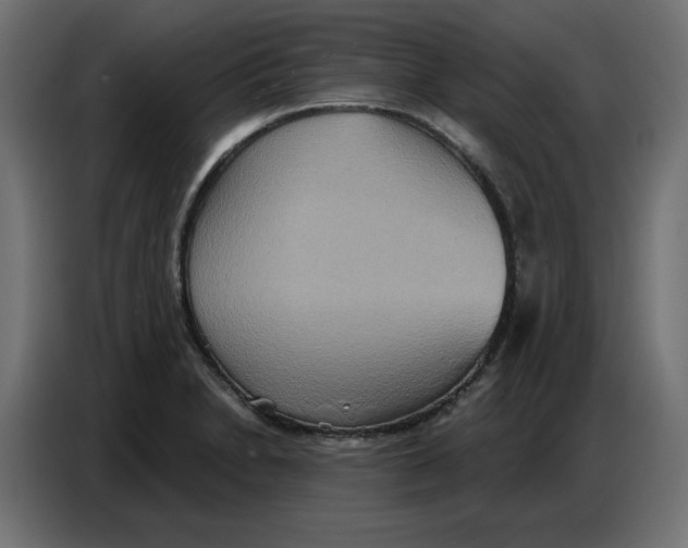 X0000086751230200705041421