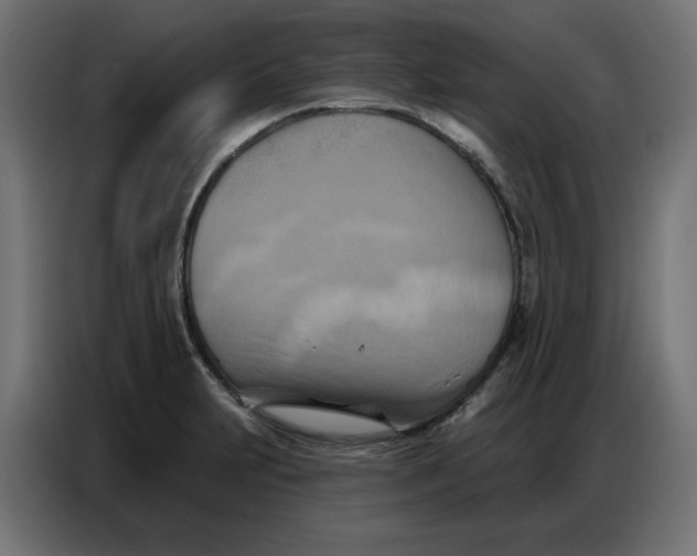 X0000086751231200705041421