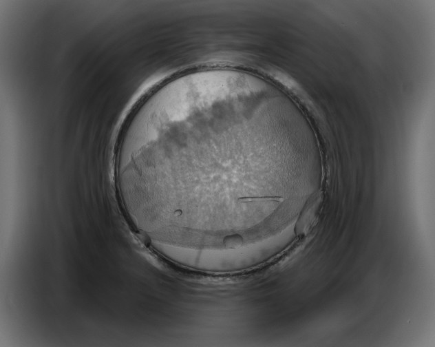 X0000086751232200705041421