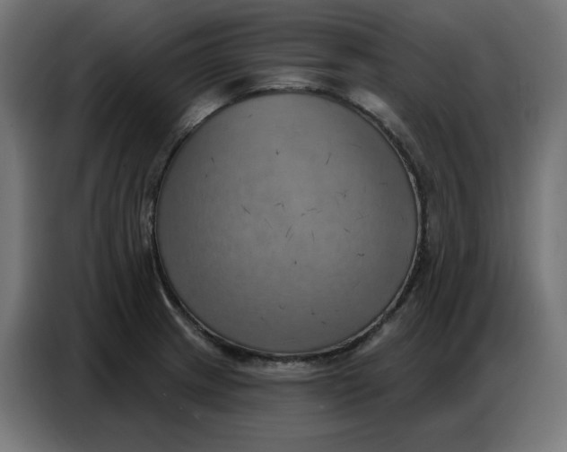 X0000086751233200705041421