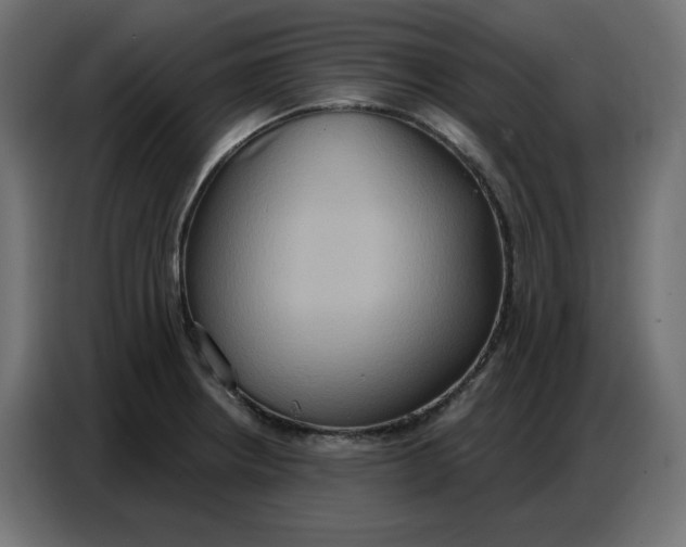 X0000086751234200705041421