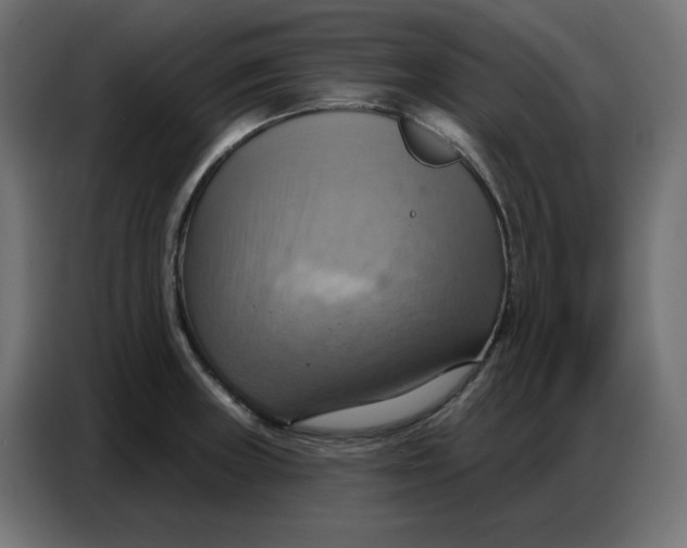 X0000086751235200705041421