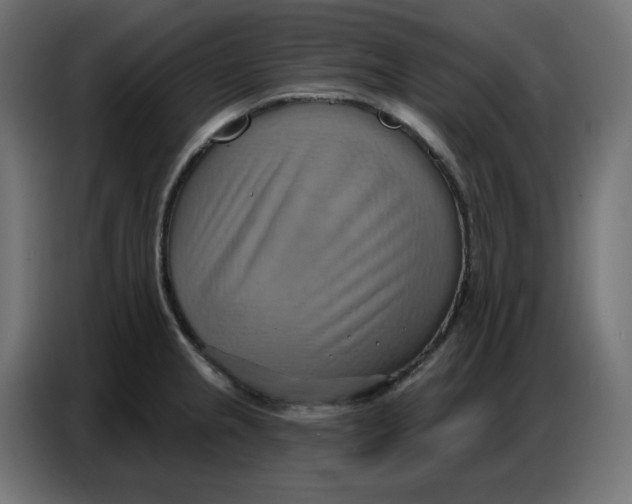 X0000086751237200705041421