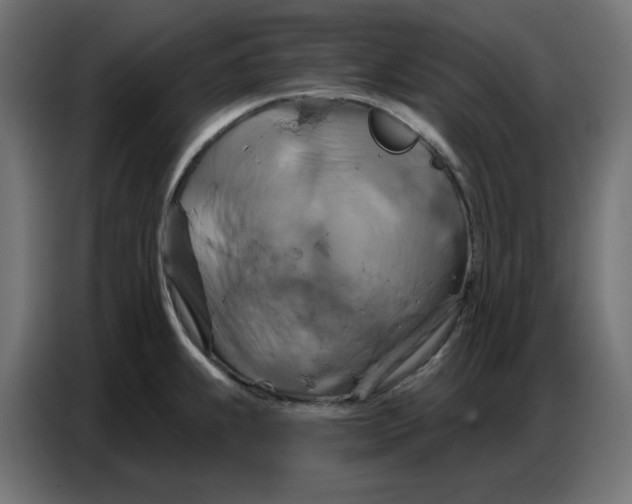 X0000086751239200705041421