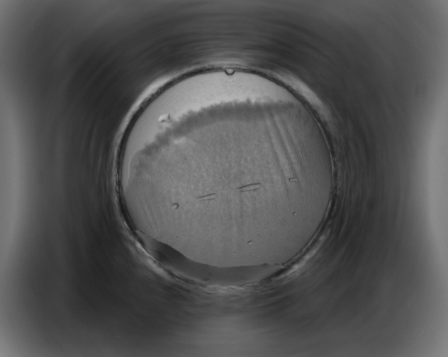 X0000086751240200705041421