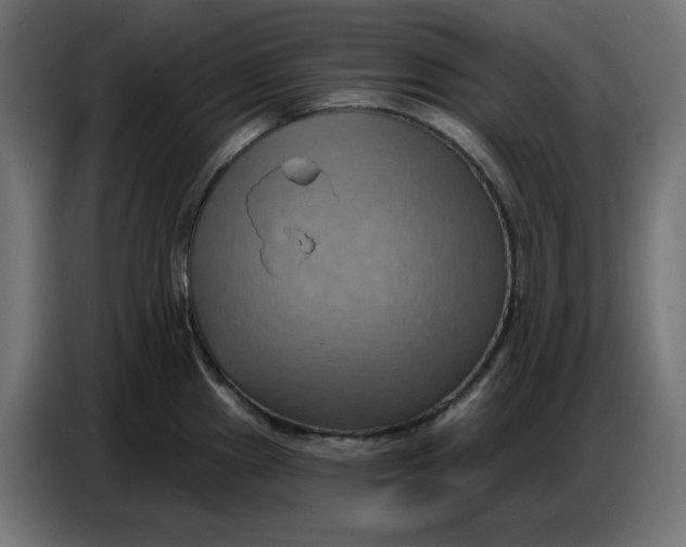 X0000086751241200705041421