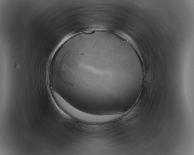 X0000086751243200705041421