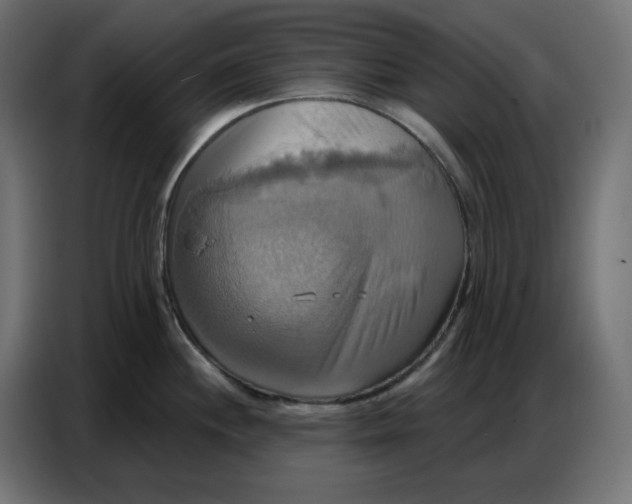 X0000086751244200705041421