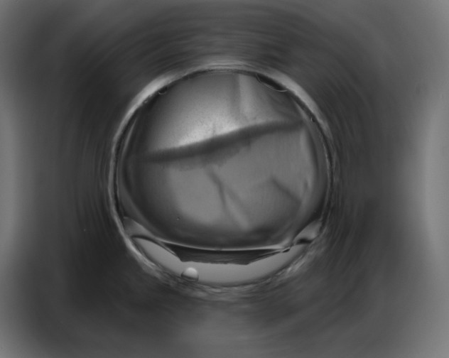 X0000086751245200705041421