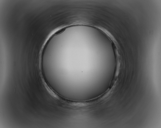 X0000086751246200705041421