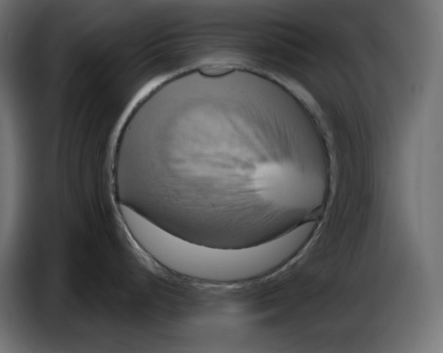 X0000086751248200705041421