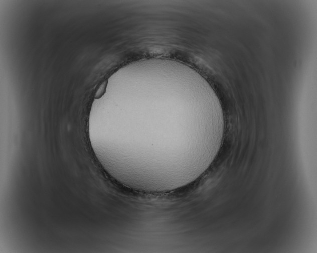 X0000086751249200705041420