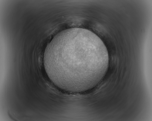 X0000086751250200705041420