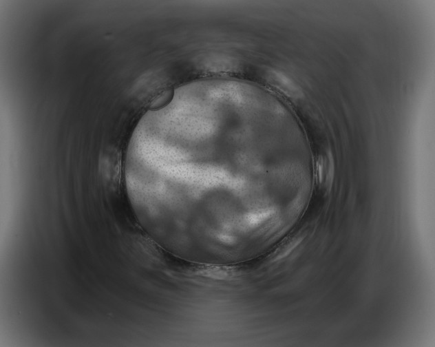 X0000086751251200705041420