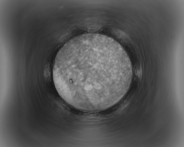 X0000086751252200705041420