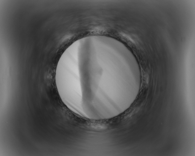 X0000086751254200705041420