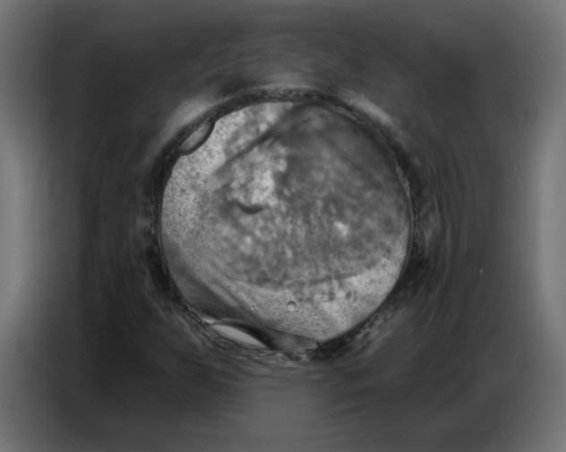 X0000086751255200705041420