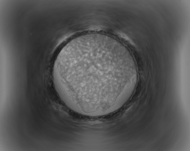 X0000086751256200705041420