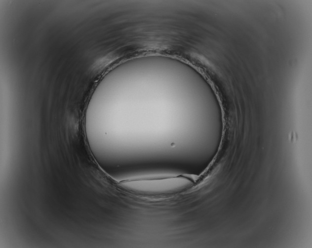 X0000086751257200705041420