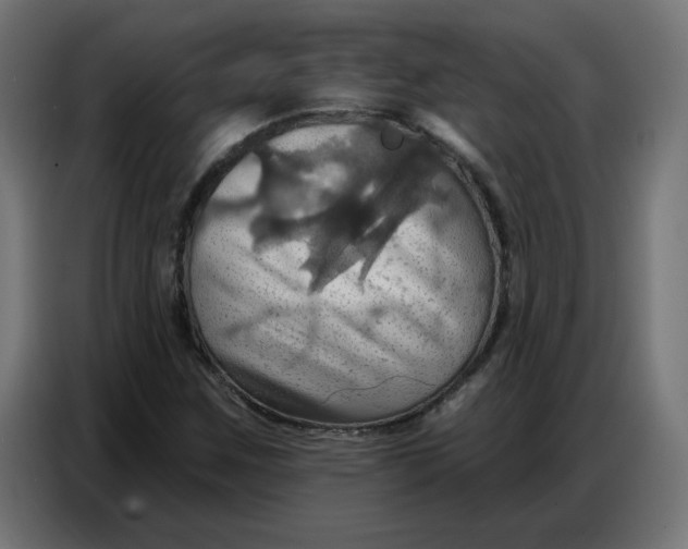 X0000086751259200705041420