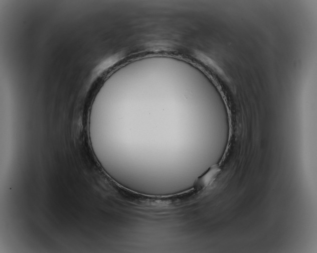 X0000086751261200705041420