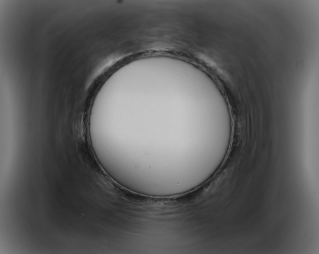 X0000086751262200705041420