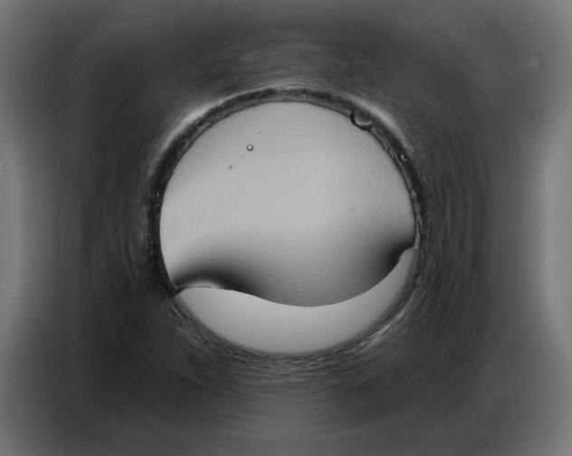 X0000086751263200705041420