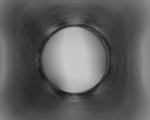 X0000086751265200705041420