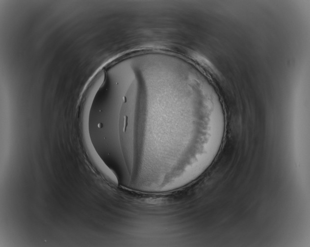 X0000086751268200705041420