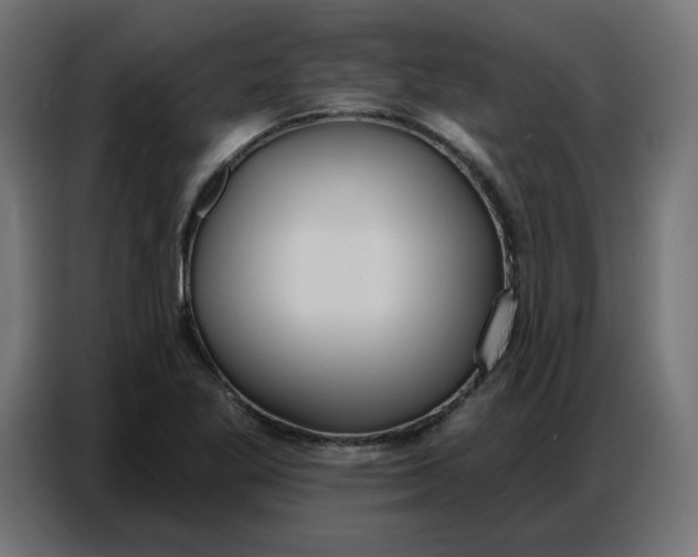 X0000086751269200705041420