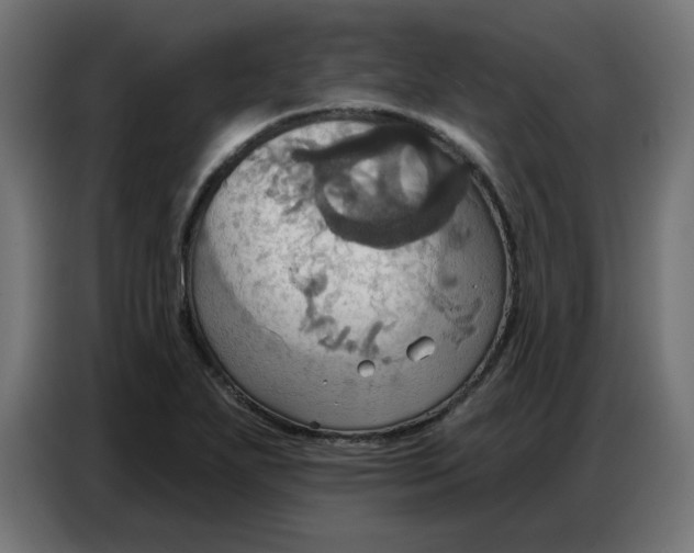 X0000086751271200705041420