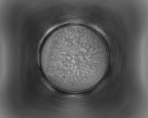 X0000086751272200705041420