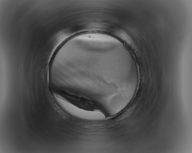 X0000086751275200705041420