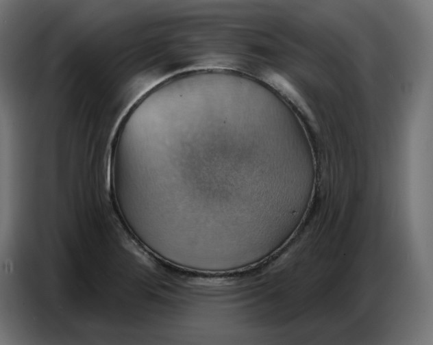 X0000086751276200705041420