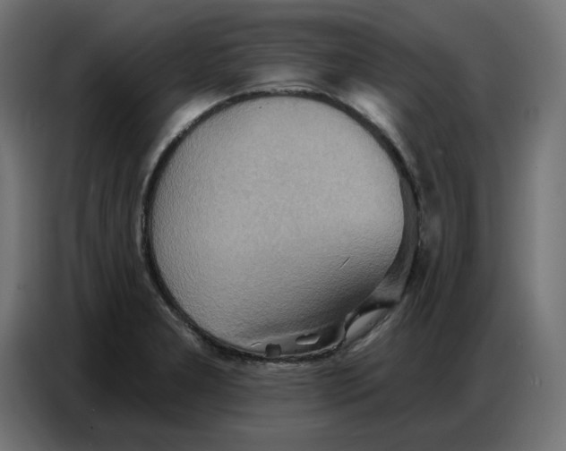 X0000086751277200705041420