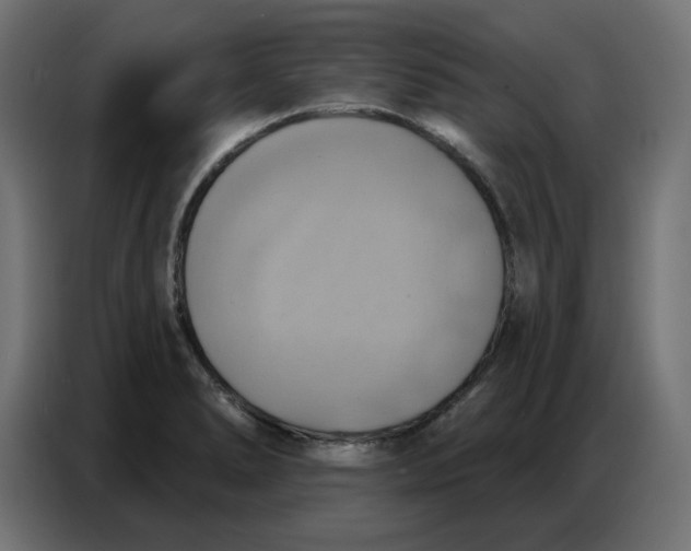 X0000086751278200705041420