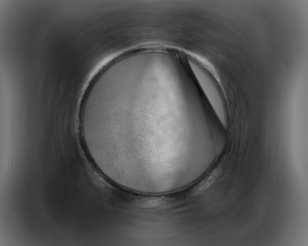 X0000086751279200705041420