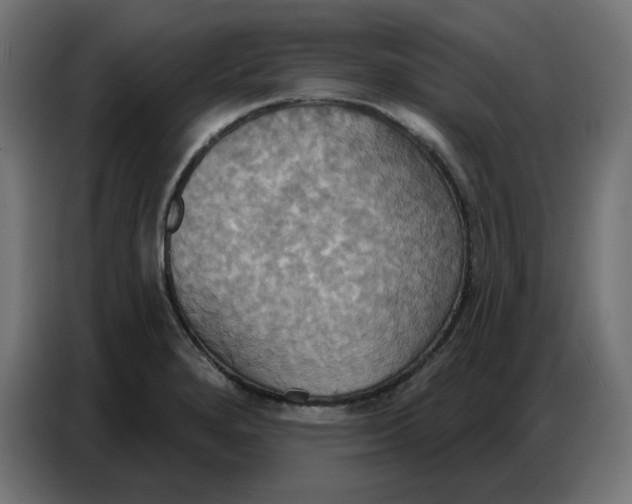 X0000086751280200705041420